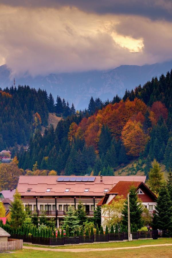 Hotel Casa Muntelui Fundata Exteriér fotografie